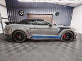 Ford Mustang 2.3 GT Super Snake Look EcoBoost Premium - Ford Mustang Gebrauchtwagen in Dortmund