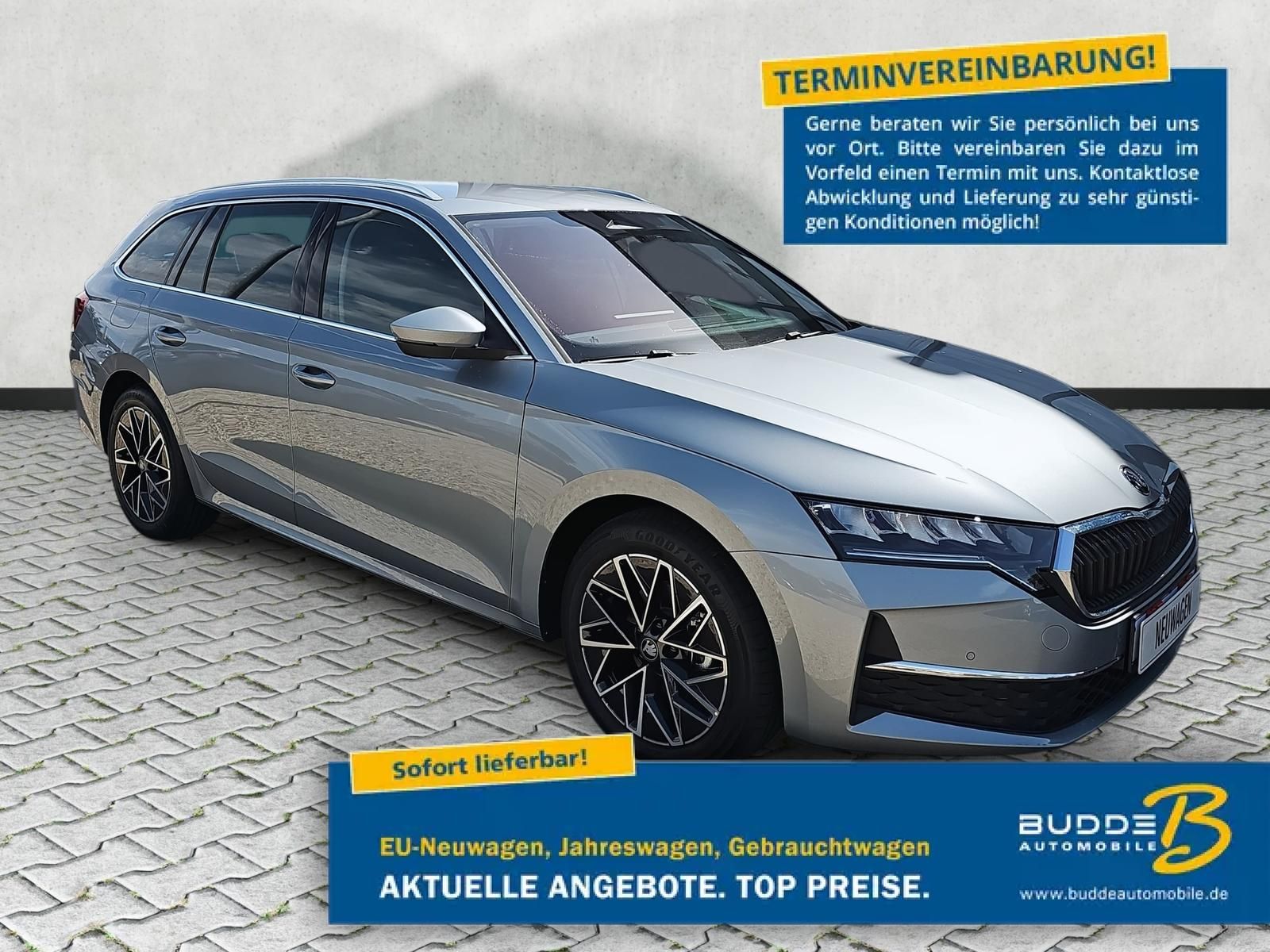 Skoda Octavia Combi 2.0 TDI DSG Selection ACC Navi AHK