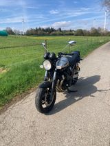 Yamaha XJR 1300  Rp19 - YAMAHA XJR 1300 RP19