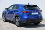 Lexus NX 300h E-FOUR F Sport - Lexus aus 2018