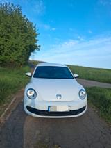 Volkswagen Beetle 1.2 TSI BMT Exclusive Design Exclusiv... - Volkswagen Beetle: Exclusive Design