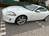 Jaguar XK 385 PS , weiß, Leder beige, - Jaguar XK von privat