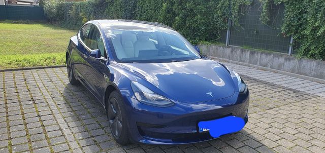 Tesla Model 3 Standard-Reichweite Plus - Hinterrad...