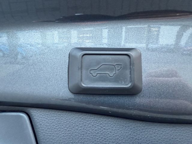 Toyota RAV 4  Hybrid x2 Team Deutschland