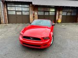 Ford V6 3,7"CABRIO"LEDER"PREMIUM"XENON"GARANTIE - Ford Mustang: Cabrio
