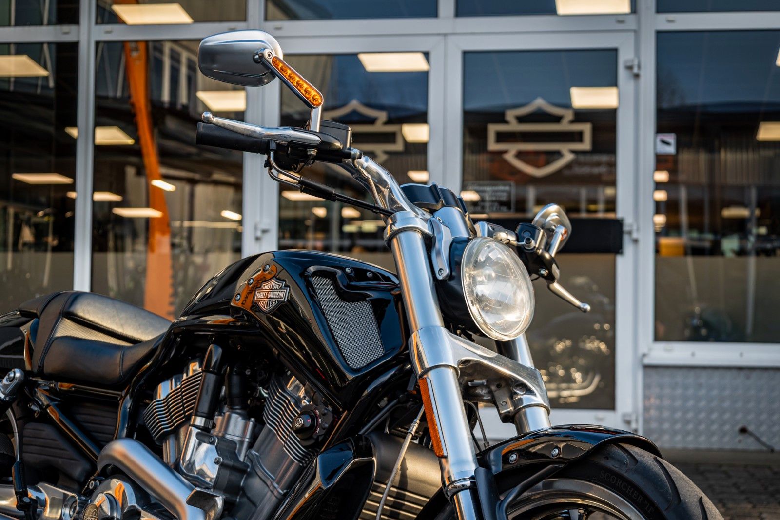 Fahrzeugabbildung Harley-Davidson VRSCF V-Rod Muscle 1250 - 240er Reifen