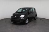 Fiat Panda 1.0 Mild-Hybrid Pandina Icon *DAB*PDC*LKA* - Fiat Panda Neuwagen