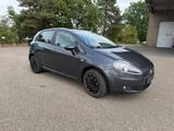 Fiat Punto 1.4 Benzin,Bj 2008 Tuv 11/26 - Fiat Punto Gebrauchtwagen in Nürnberg