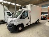 Fiat Ducato Tiefkühlkoffer *Carrier*Klima*motorschade - Fiat Kühlkastenwagen