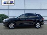 Ford Kuga Titanium 1.5 EcoBoost EU6e HUD Navi Digital - Ford Kuga: 1.6