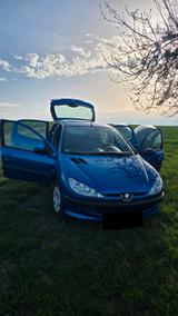 Peugeot 206 1.4 Grand Filou 75 Grand Filou Cool - Peugeot 206 aus 2005: 1.4