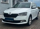 Skoda Fabia Clever *ACC*Stzhng*2. HD*Carplay* - Skoda Fabia Gebrauchtwagen in Berlin