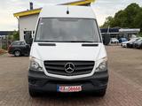 Mercedes-Benz Sprinter II Kasten 310/311/313/314/316 CDI - Mercedes-Benz Sprinter: 313 Cdi Kasten