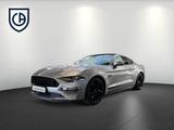 Ford Mustang 5.0 V8 GT 55 Years Editon Standhzg - silberne Ford Mustang