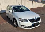 Skoda Octavia 1.6 TDI Greenline Combi - Skoda Octavia Greenline mit Diesel-Antrieb