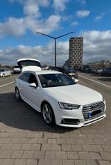 Audi A4 B9 - 2.0Tdi - 3x S-Line - Audi A4: B9
