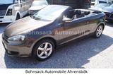 Volkswagen Golf VI Cabriolet I.Hand TÜV NEU Klima - Volkswagen Golf: Cabrio, I