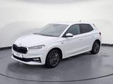 Skoda Fabia Tour 1.0 DSG *KAMERA*NAVI*SITZHEITZUNG* - Skoda Fabia Jahreswagen