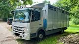 Mercedes-Benz Atego 1024 - Mercedes-Benz Atego 1024