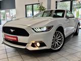 Ford Mustang 2.3 Fastback / Schalter / Unfallfrei - Ford Mustang: Fastback