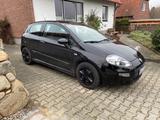 Fiat Punto Evo - Fiat Punto Evo mit Panoramadach