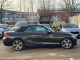 BMW 220i Cabrio Sport Xenon Navi Leder HiFi 17" - BMW 220: I