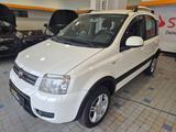 Fiat Panda 1.2 Klima 4X4 Alus Tüv Neu Finanzierung - Fiat Panda: Weiß