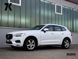 Volvo XC60 2.0B5 B AWD Momentum Pro *ASSIST|AHK|LED* - Volvo XC60: B