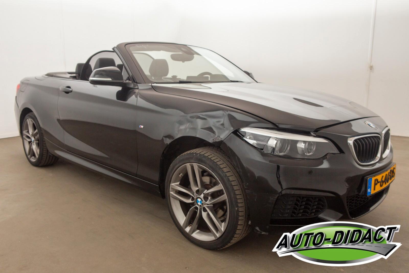 BMW 218i Cabrio Automatik Navi Camera