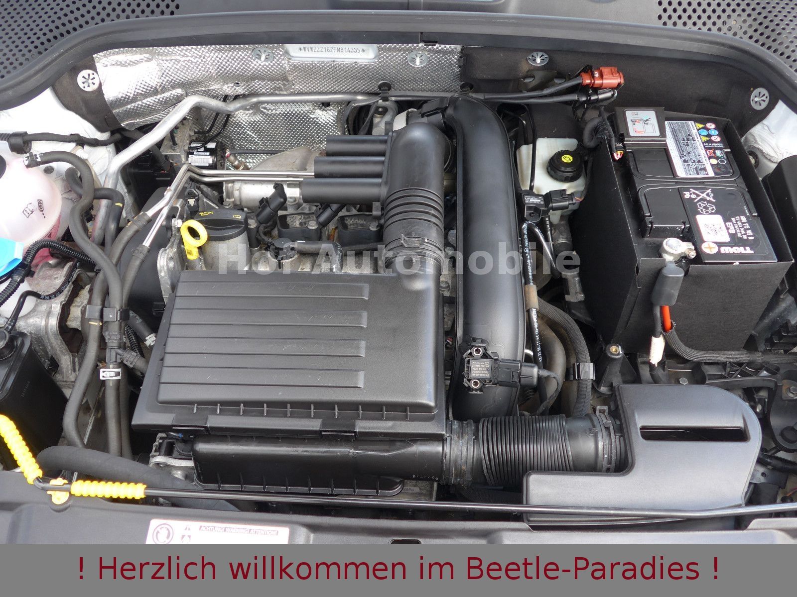 Volkswagen Beetle 1.2TSI 50"s Design Xenon Kamera Leder foto 25