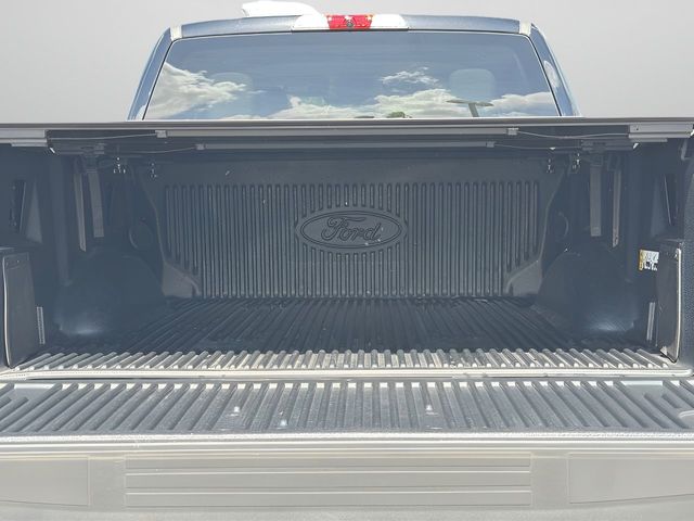 Ford F 150 Lightning Flash gr Batterie im Vorlauf+18