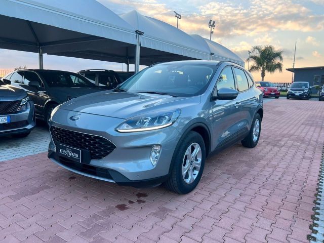 Ford Kuga 1.5 EcoBlue 120 CV 2WD Titanium Busine