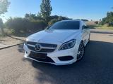 Mercedes-Benz CLS 400 AMG Paket | CLS 63 AMG Opt - Mercedes-Benz: Cl AMG 63