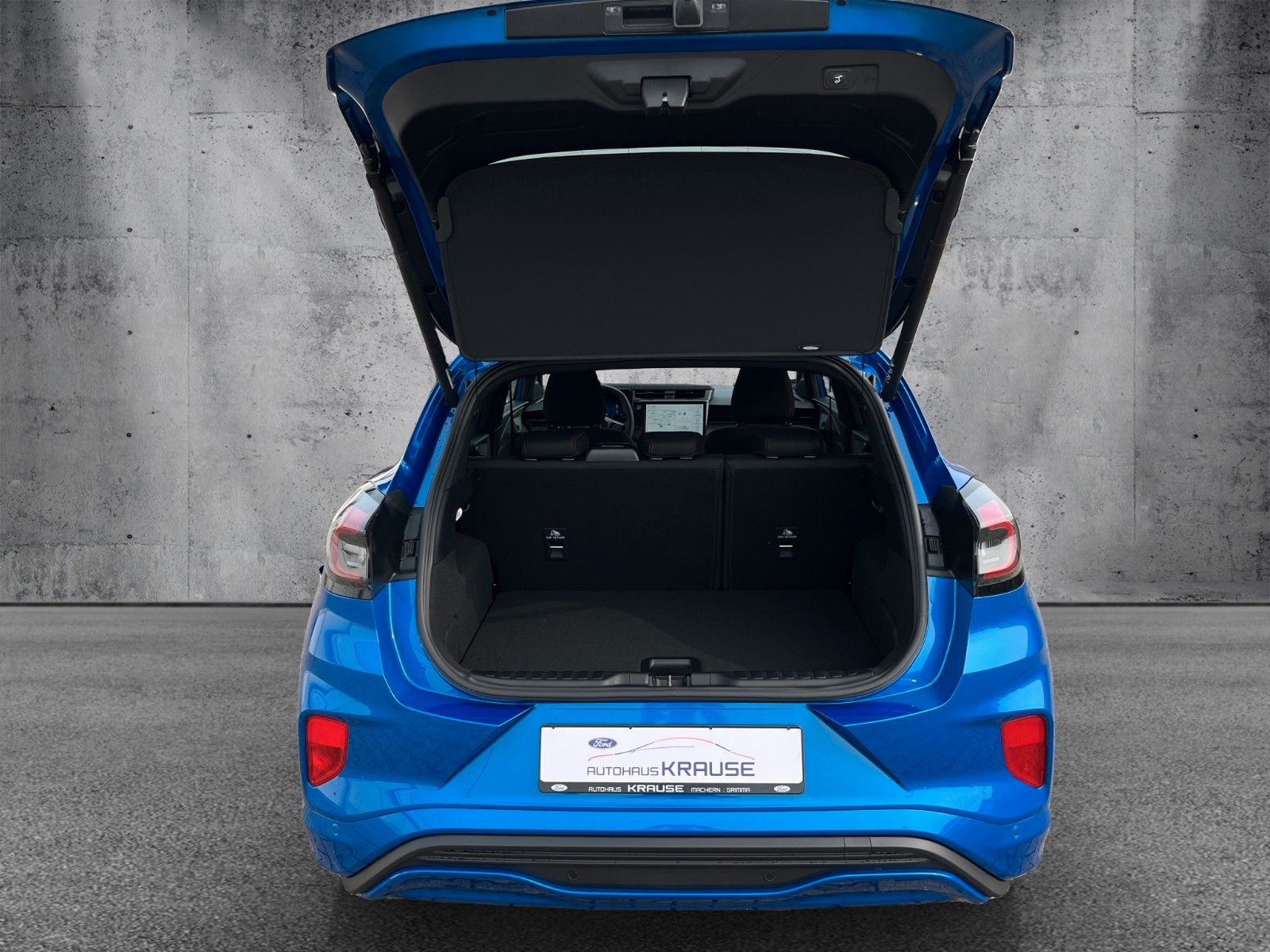 Fahrzeugabbildung Ford Puma ST-Line