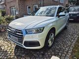 Audi Q5 45 TFSI quattro "S Line Sportpaket" - Audi Q5 mit Benzin-Antrieb: Sport
