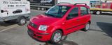 Fiat Panda 1.2 8V Dynamic - Fiat Gebrauchtwagen von 2008