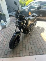 Benelli Leoncino 500 A2 tauglich - BENELLI LEONCINO 500
