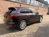 Porsche Cayenne S Diesel V8 | PDLS | Naturleder | 100L T - Porsche Gebrauchtwagen in Bielefeld