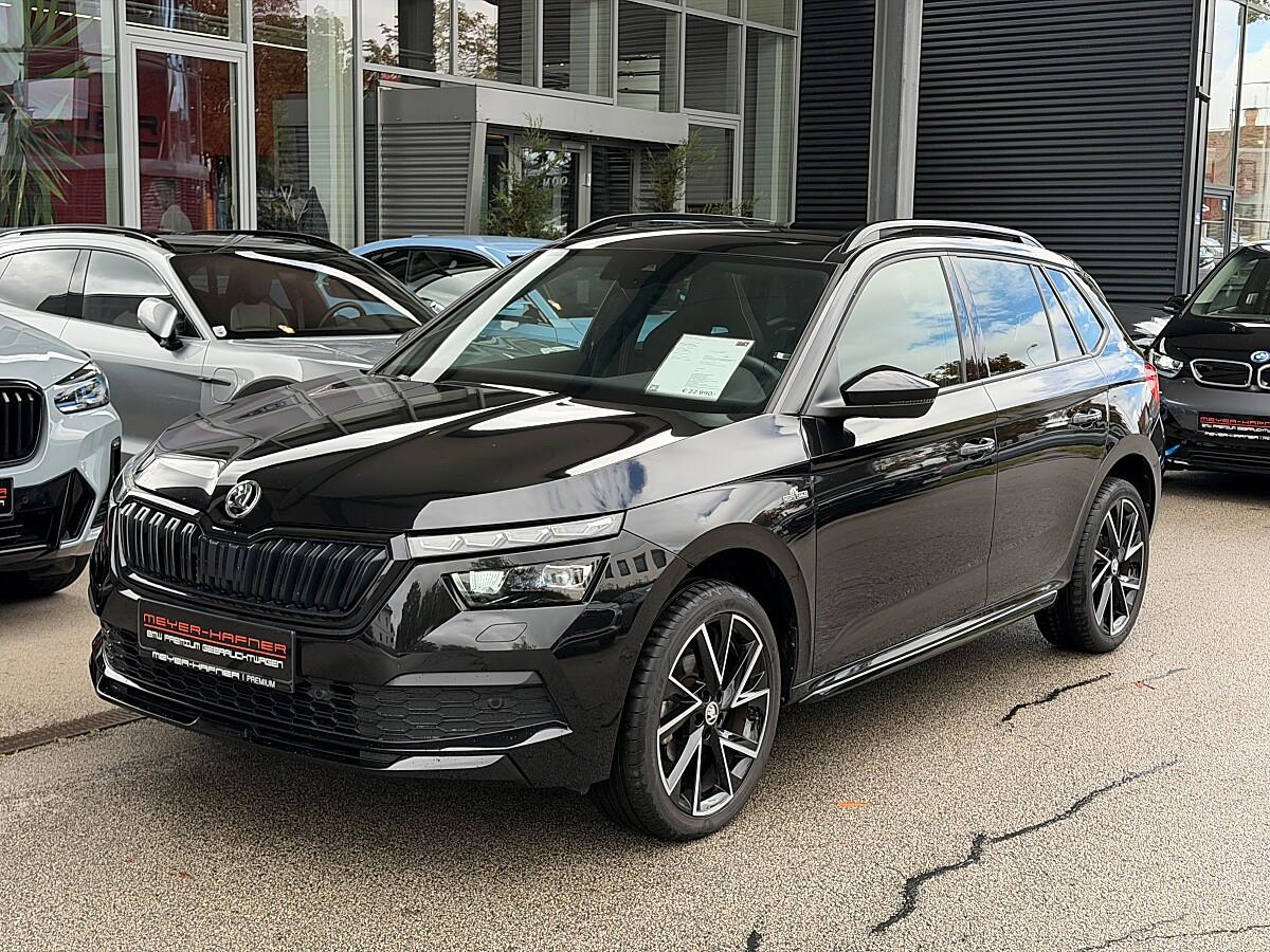 Skoda Другой
