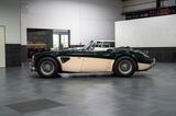 Austin Healey 3000 MK3 Stefan Sautter Umbau - Austin Healey: 3000 Mk