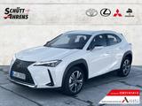 Lexus UX 300e Luxury HUD NAV MatrixLED Leder ACC ASSI - Lexus UX Tageszulassungen