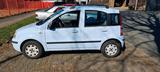 Fiat FIAT PANDA TYP 169 - Fiat Panda 169