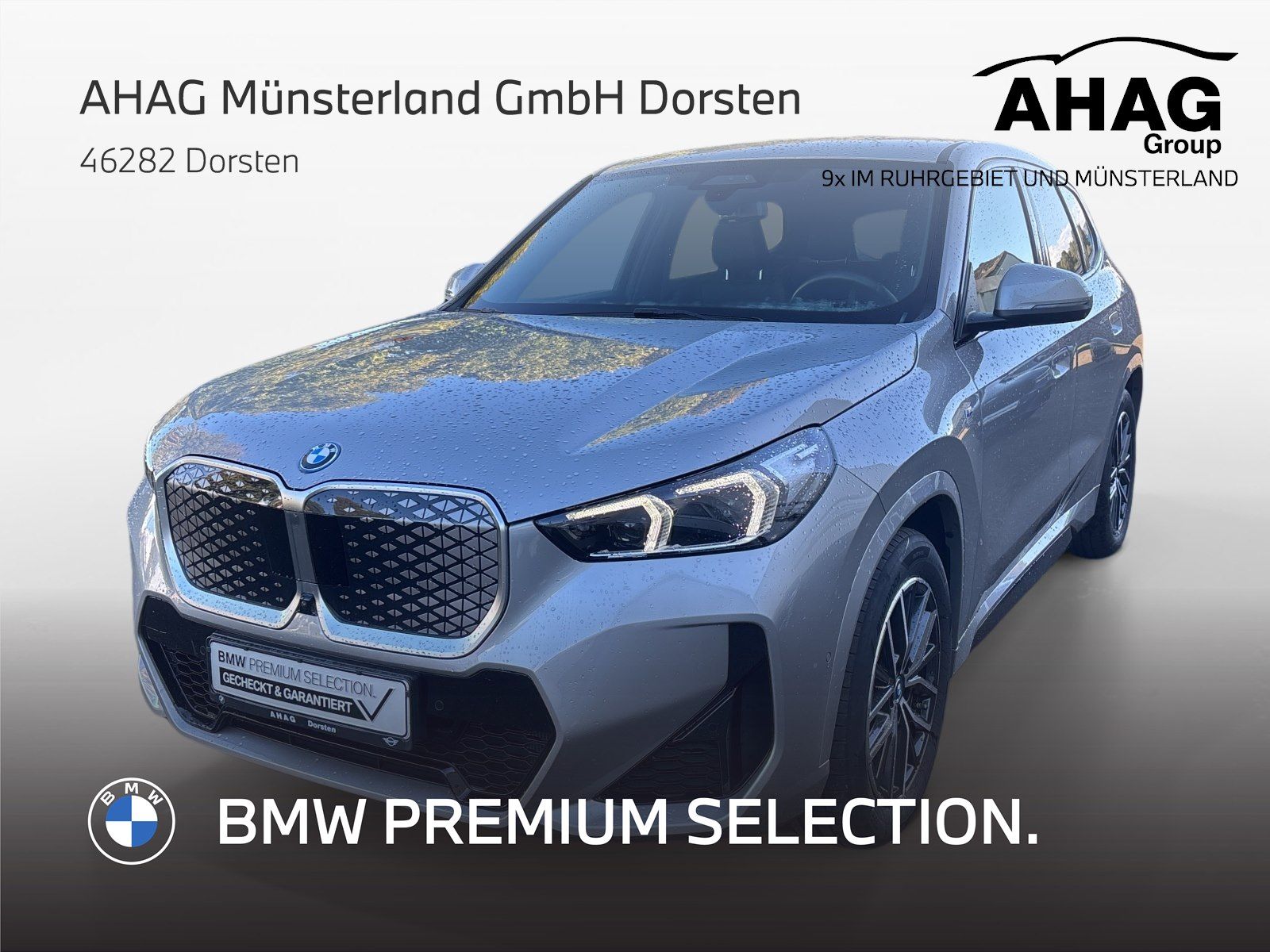 BMW iX1 xDrive30 M Sport AHK Head-Up ACC 360° adapt.