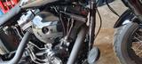 Harley-Davidson Softail Slim ss 110