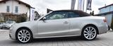 Audi A5 Cabriolet 3.0 TDI quattro S Line Selection - Audi: Sitzbelüftung, Cabrio
