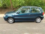 Volkswagen VW Polo 6N2 Open Air Faltdach Edition Bj. ... - Volkswagen Polo: Faltdach