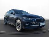 Skoda OCTAVIA COMBI 1.5 TSI SELECTION - Skoda Octavia Jahreswagen: Kombi