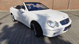 Mercedes-Benz CLK 320 ELEGANCE Elegance - Mercedes-Benz aus 2003: Cabrio, Clk
