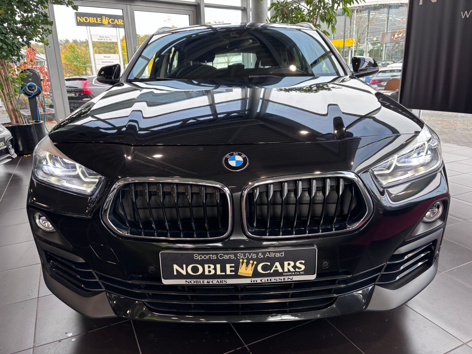 Fahrzeugabbildung BMW X2 xDrive 20 d Advantage AHK LED NAVI ALU