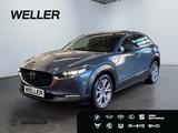Mazda CX-30 SKYACTIV-D 1.8 SELECTION *Leder*360*HUD*LE - Mazda: 8